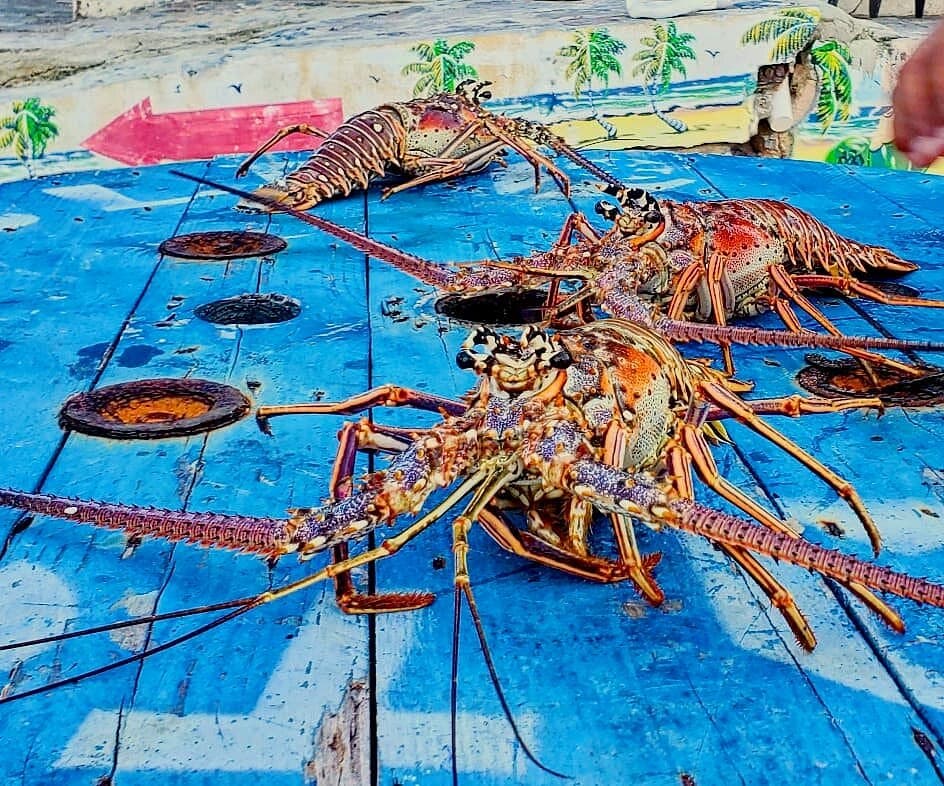 Foto 14 - Cortecito Bar Restaurante