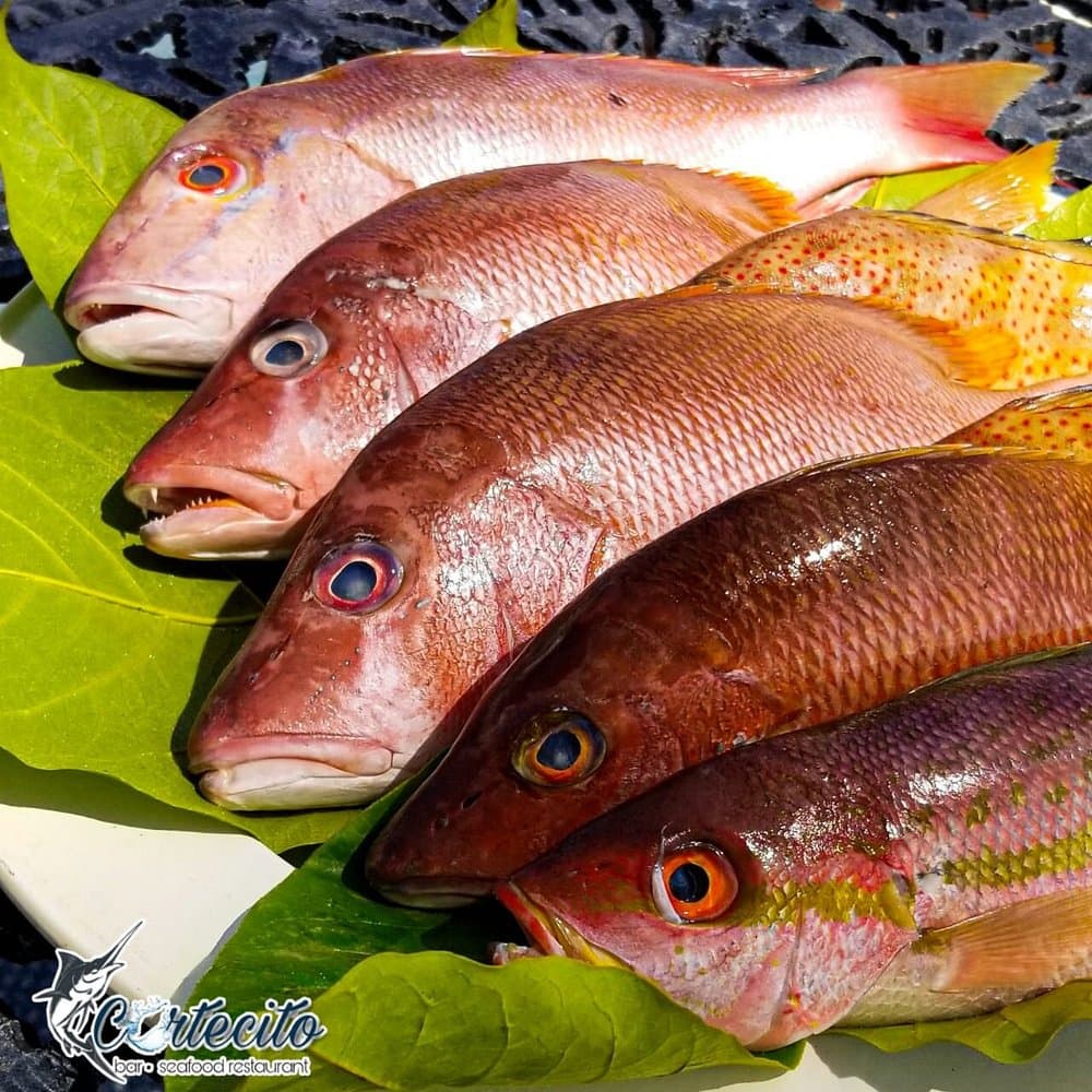 Foto 8 - Cortecito Bar Restaurante